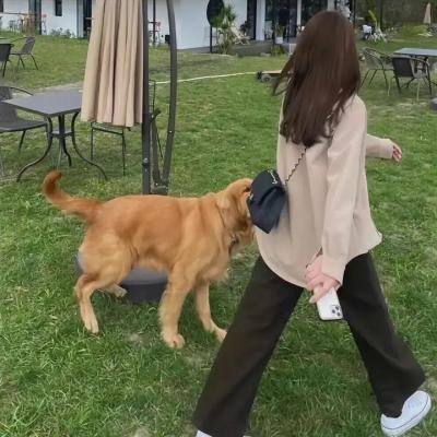 致球宝